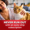 image:imagePurina Tidy Cats LightWeight4In1 Strength MultiCat Odor control Clumping 999 Percent Dust Free Cat Litter  17 lb Box40 Pound Pack of 1